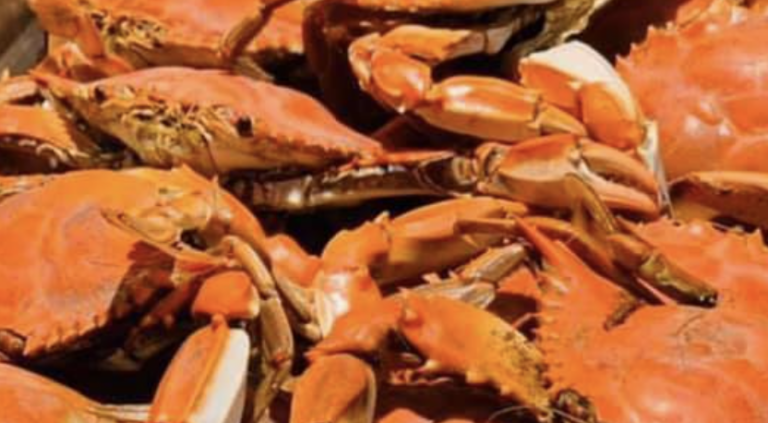 Screen Shot 2021 08 02 at 9.47.11 PM 768x423