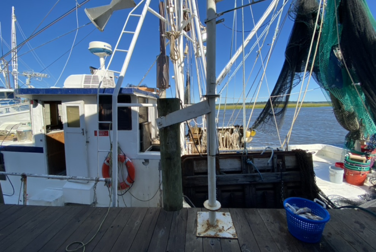 Screen Shot 2021 09 23 at 11.16.44 AM 768x514