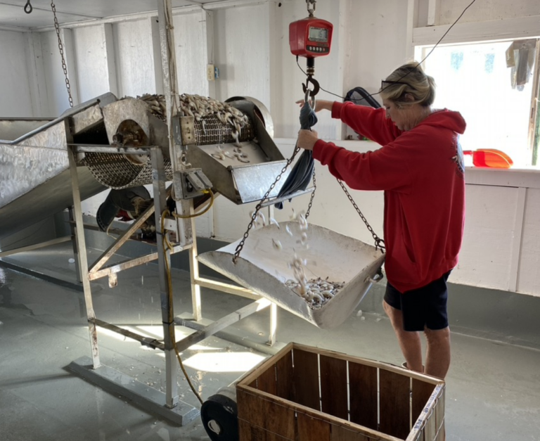 Screen Shot 2021 09 23 at 11.16.54 AM 768x627