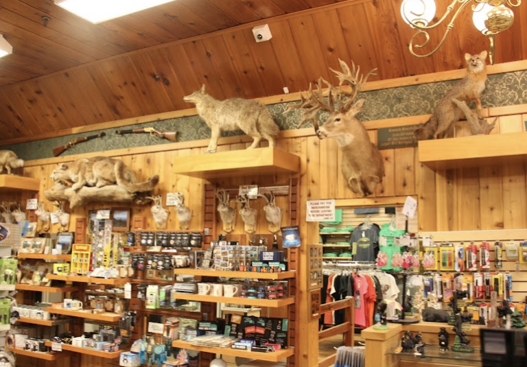 Screen Shot 2021 10 04 at 5.13.51 PM 768x535