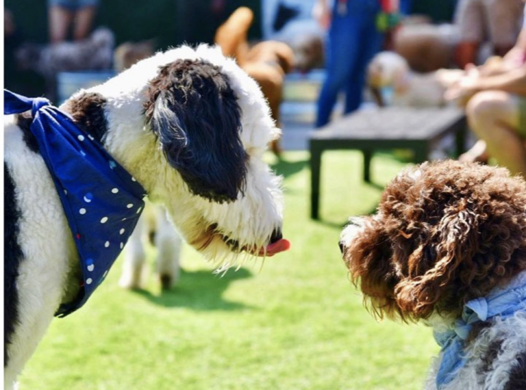 Screen Shot 2021 10 09 at 3.04.55 PM 768x570