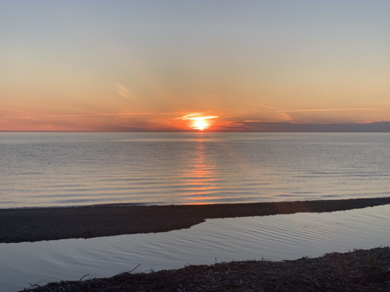 Screen Shot 2021 11 01 at 10.41.57 PM 768x575