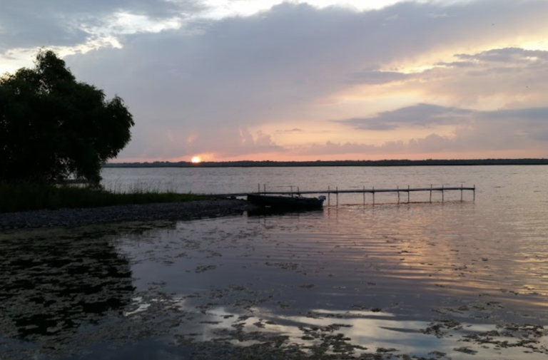 Screen Shot 2021 11 02 at 8.52.57 PM 768x505