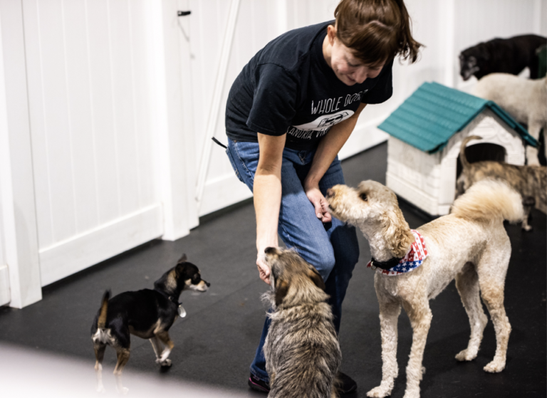 Screen Shot 2021 11 12 at 8.21.03 PM 768x559