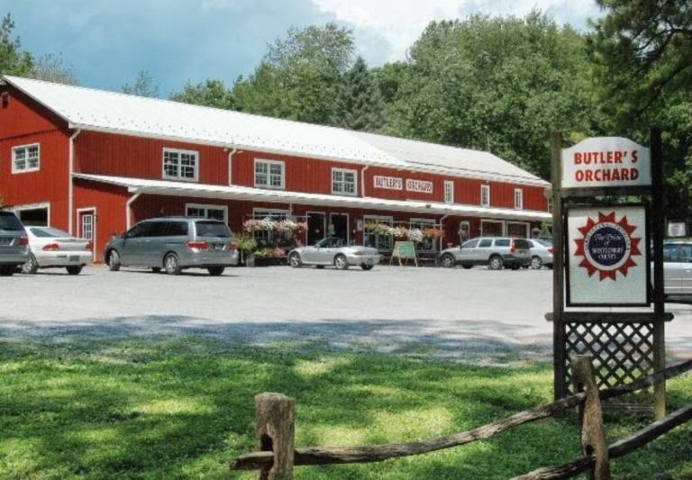 Screen Shot 2021 11 13 at 10.31.10 AM 768x533