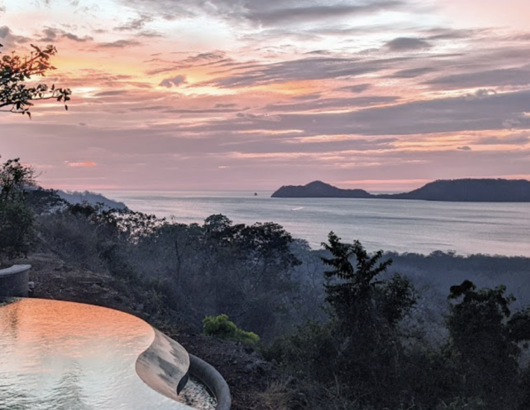 Screen Shot 2021 11 13 at 2.02.00 PM 768x595