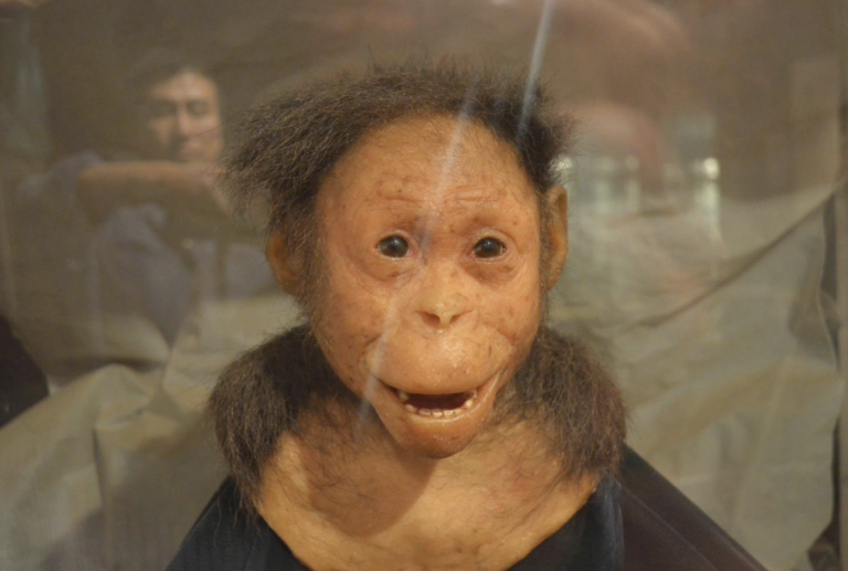 Screen Shot 2021 11 18 at 7.27.42 PM 768x517