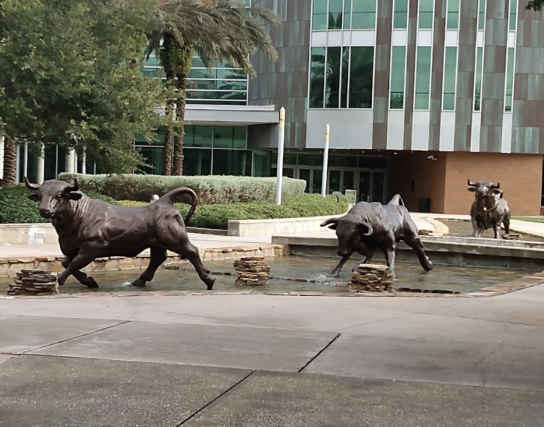 Screen Shot 2021 11 20 at 11.37.01 AM 768x603