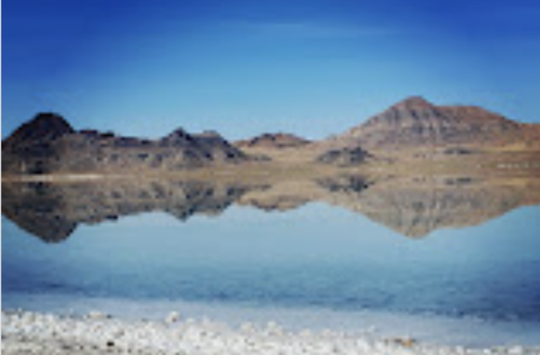 Screen Shot 2021 11 22 at 6.18.43 AM 768x505