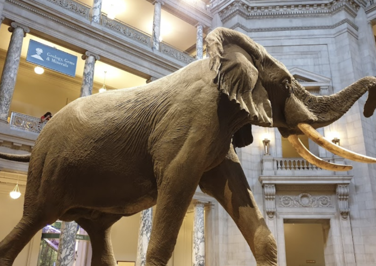 Screen Shot 2021 11 22 at 7.22.24 AM 768x543