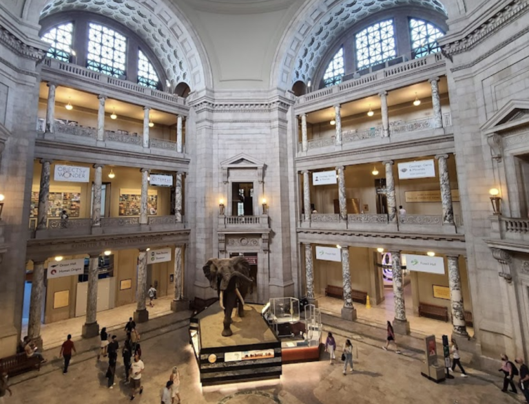 Screen Shot 2021 11 22 at 7.22.31 AM 768x587