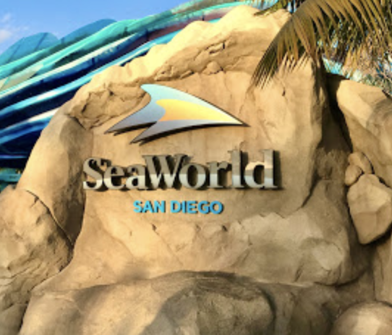 Screen Shot 2021 11 22 at 7.38.02 AM 768x656