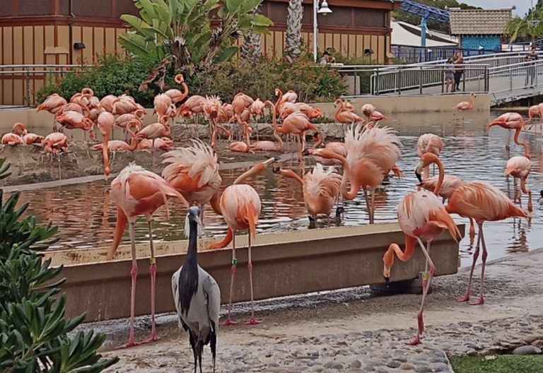 Screen Shot 2021 11 22 at 7.38.20 AM 768x528