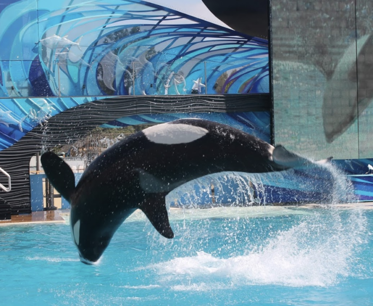 Screen Shot 2021 11 22 at 7.38.28 AM 768x630