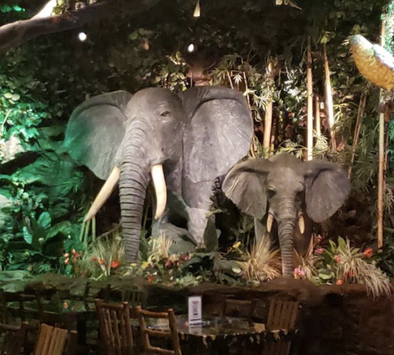 Screen Shot 2021 12 03 at 5.26.34 PM 768x692