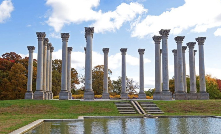 Screen Shot 2021 12 24 at 1.43.49 PM 768x467