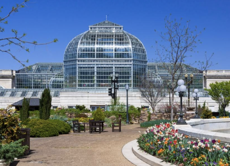 Screen Shot 2021 12 24 at 1.46.28 PM 768x553