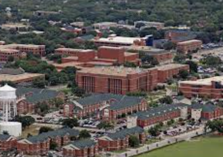 Screen Shot 2022 01 26 at 8.45.55 PM 768x541