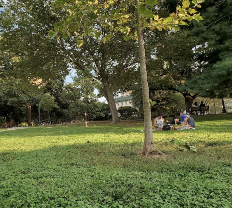 Screen Shot 2022 01 29 at 11.44.25 AM 768x688