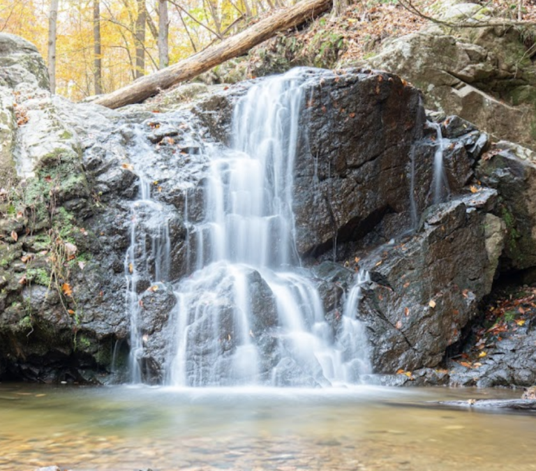 Screen Shot 2022 04 10 at 9.53.06 PM 768x675