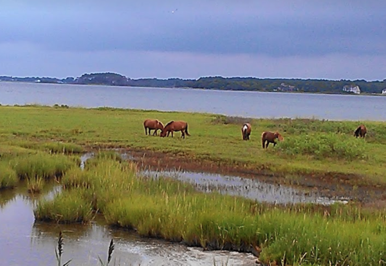 Screen Shot 2022 05 30 at 1.06.32 AM 768x529