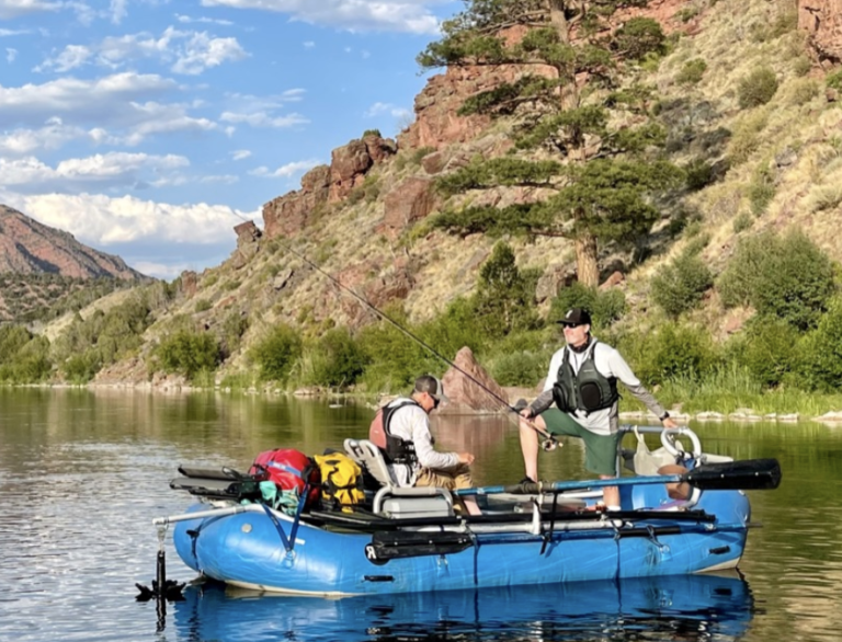 Screen Shot 2022 06 17 at 12.57.19 PM 768x586