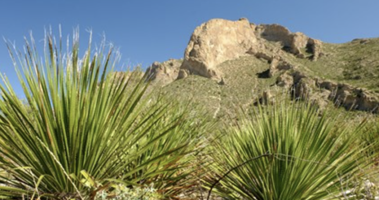 Screen Shot 2022 08 21 at 10.52.41 PM 768x406