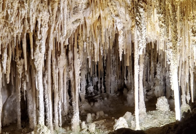 Screen Shot 2022 08 21 at 10.53.50 PM 768x525