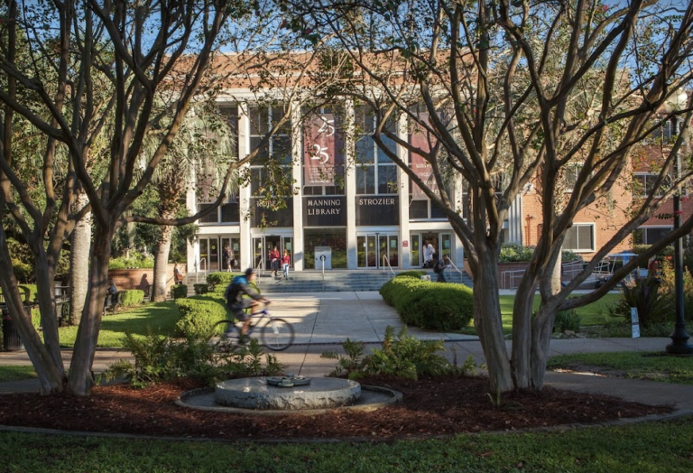 Screen Shot 2022 11 28 at 12.39.56 PM 768x524