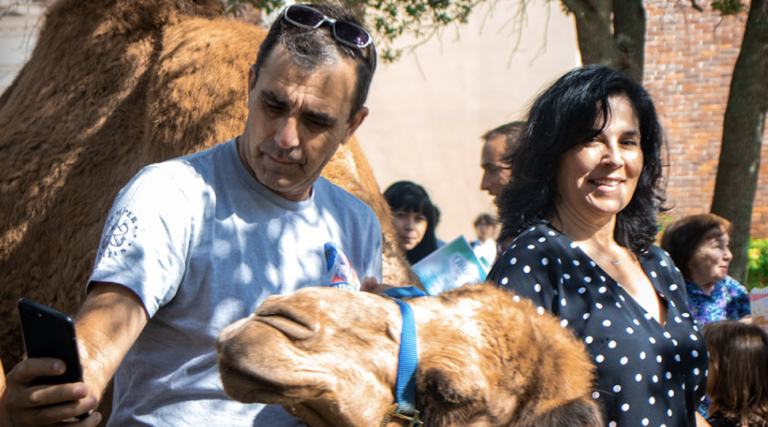 Screen Shot 2022 12 23 at 12.25.25 PM 768x427