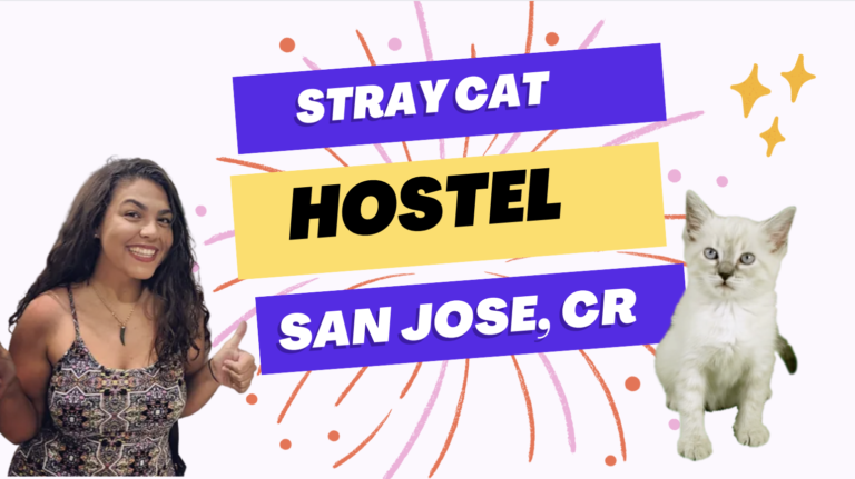 Screenshot 2023 06 17 at 5.40.24 PM 768x431