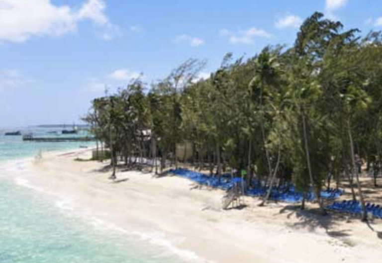 Screenshot 2023 08 21 at 12.08.56 PM 768x529