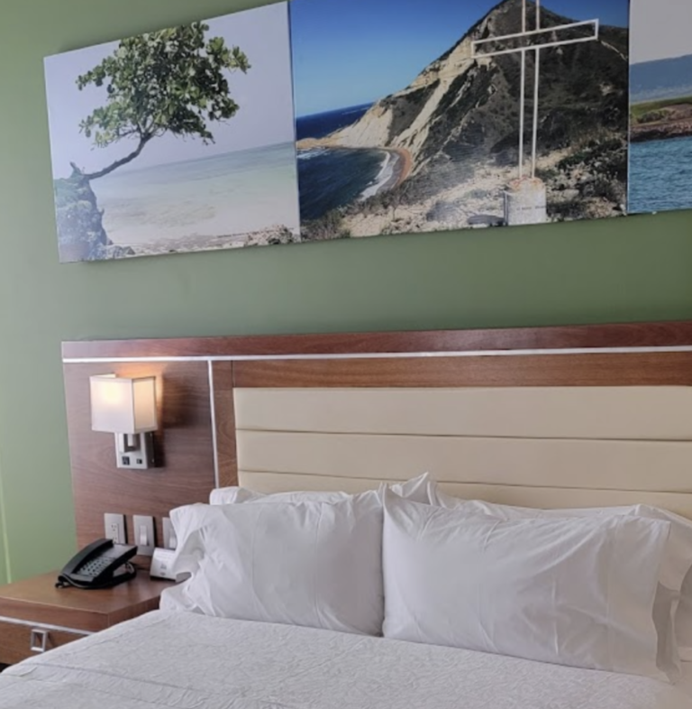 Screenshot 2023 08 31 at 3.14.02 PM 768x786